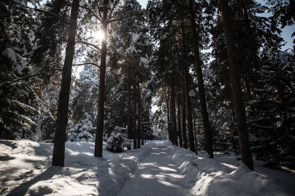 Alpen Ville Αλμάτι Εξωτερικό φωτογραφία