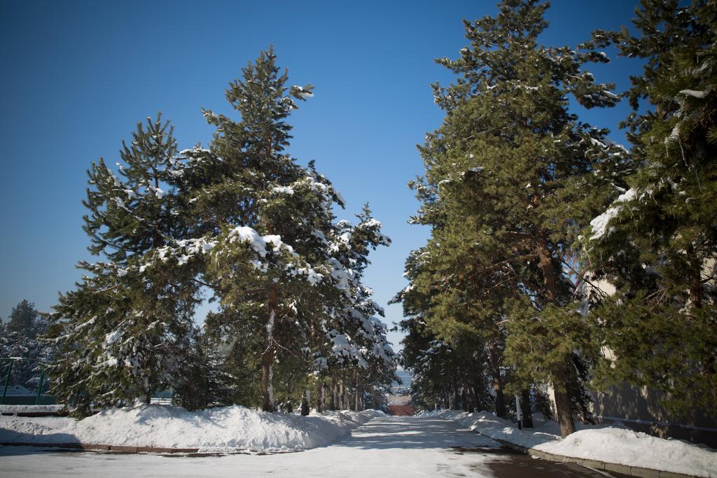 Alpen Ville Αλμάτι Εξωτερικό φωτογραφία